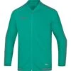 JAKO Freizeitjacke Striker 2.0 Präsentationsjacke Türkis-anthrazit | 34 -Jako Sport Swear 732441045 image