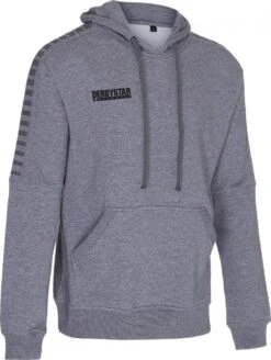 Derbystar Ultimo Kapuzenpullover Hoodie Grau | S